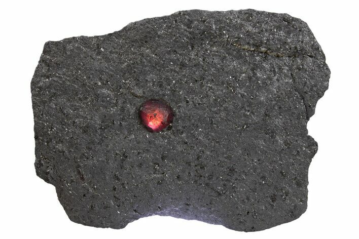 Red Embers Garnet in Graphite - Massachusetts #301086